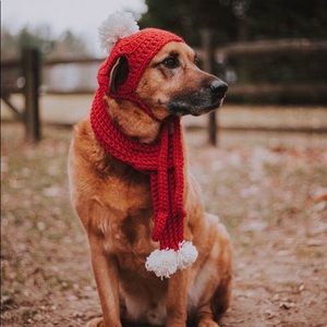 Meet your Posher, Dana